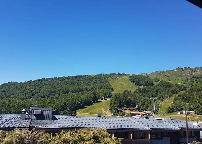 Residence La Foret Au Plus Pres Des Pistes. 36M²