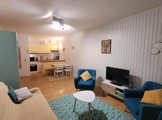 Residence La Foret Au Plus Pres Des Pistes. 36M²