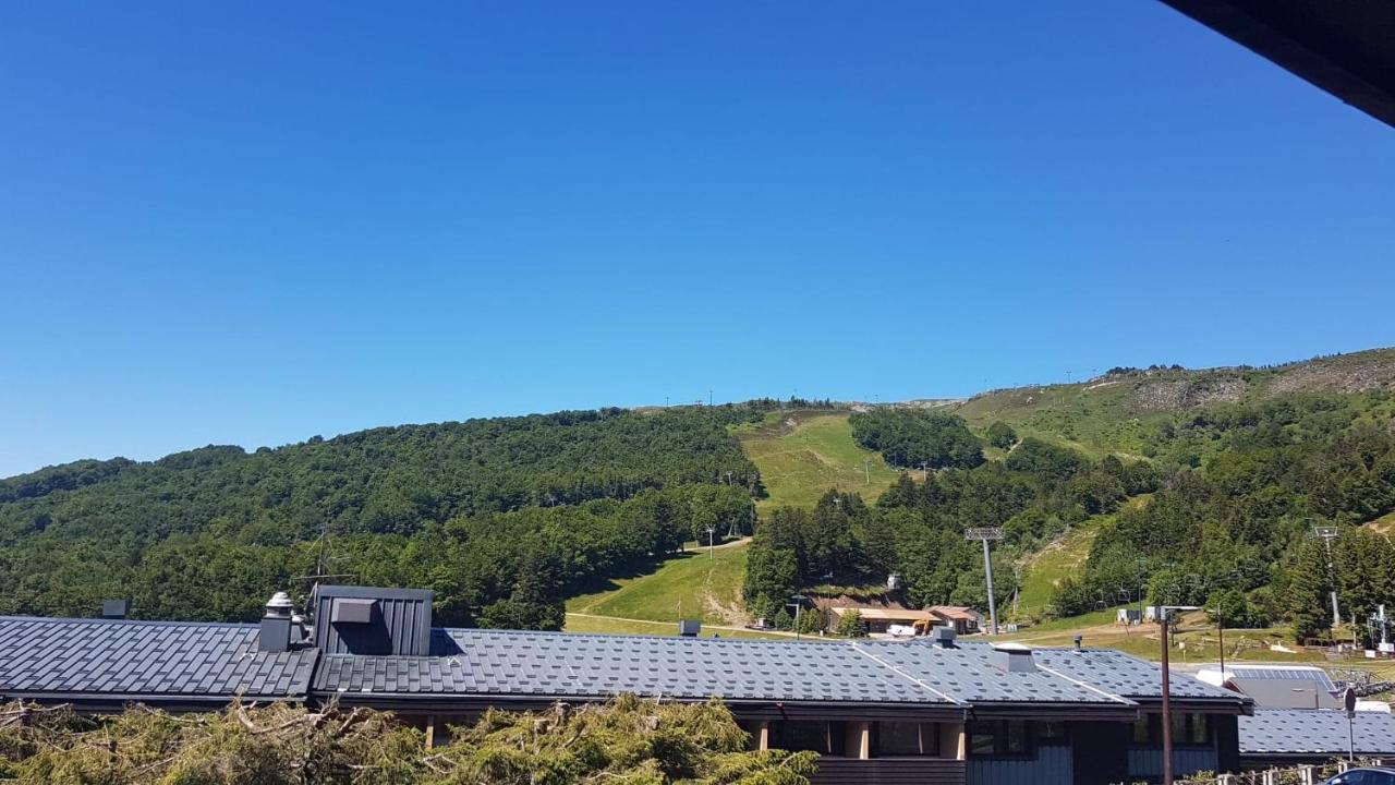 La Foret Au Pres Des Pistes. 36m² *