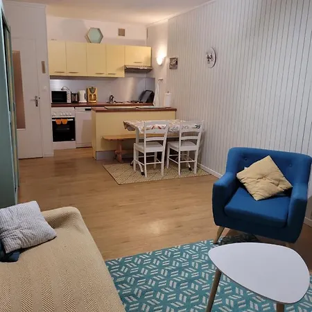 Residence La Foret Au Plus Pres Des Pistes. 36M² Besse-et-Saint-Anastaise Extérieur photo