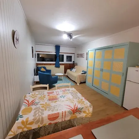 Residence La Foret Au Plus Pres Des Pistes. 36M² Besse-et-Saint-Anastaise Extérieur photo